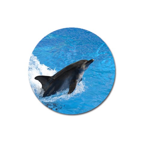 Swimming Dolphin Magnet 3  (Round) from ArtsNow.com Front