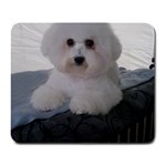 Bichon Puppy Large Mousepad