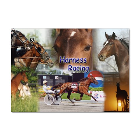 Harness Racing Sticker A4 (10 pack) from ArtsNow.com Front