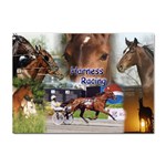 Harness Racing Sticker A4 (10 pack)