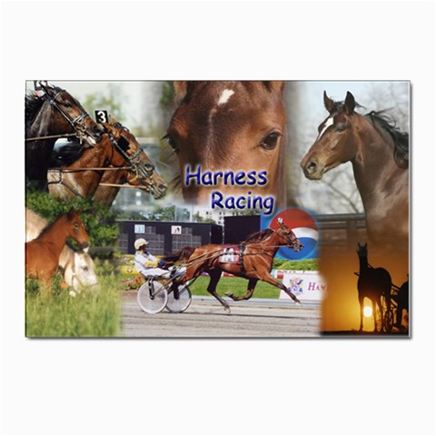 Harness Racing Postcard 4 x 6  (Pkg of 10) from ArtsNow.com Front