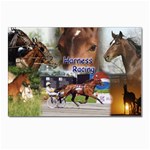 Harness Racing Postcards 5  x 7  (Pkg of 10)