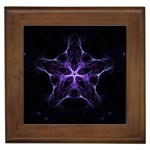 Bi-Apophysis Framed Tile