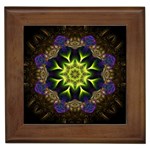 Fractal Art: May011-003 Framed Tile