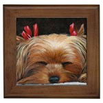 Sleeping Yorkie Painting Scan 300dpi Retouched Copy Framed Tile