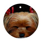 Sleeping Yorkie Painting Scan 300dpi Retouched Copy Ornament (Round)