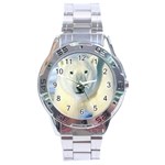 Bear1 Stainless Steel Analogue Men’s Watch