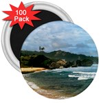 Barbados Beach 3  Magnet (100 pack)