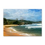 Barbados Beach Sticker A4 (10 pack)