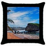 Beach Boulder Barbados Throw Pillow Case (Black)
