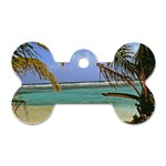 Belize Beach10x8 Dog Tag Bone (One Side)