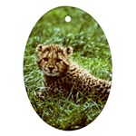 Cheetah  Ornament (Oval)