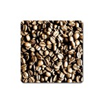Coffee Beans Magnet (Square)