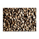 Coffee Beans Sticker A4 (10 pack)