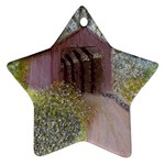 Coveredbridge300 Star Ornament (Two Sides)