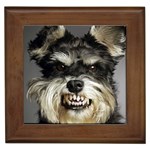 Animals Dogs Funny Dog 013643  Framed Tile