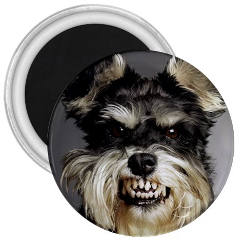 Animals Dogs Funny Dog 013643  3  Magnet from ArtsNow.com Front