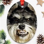Animals Dogs Funny Dog 013643  Ornament (Oval)