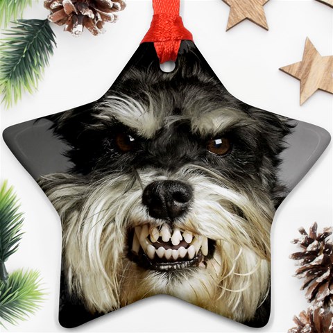 Animals Dogs Funny Dog 013643  Ornament (Star) from ArtsNow.com Front