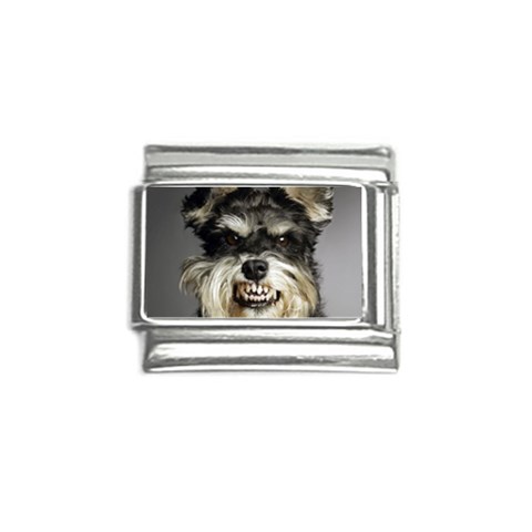 Animals Dogs Funny Dog 013643  Italian Charm (9mm) from ArtsNow.com Front