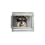 Animals Dogs Funny Dog 013643  Italian Charm (9mm)
