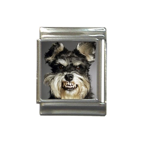 Animals Dogs Funny Dog 013643  Italian Charm (13mm) from ArtsNow.com Front
