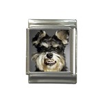 Animals Dogs Funny Dog 013643  Italian Charm (13mm)