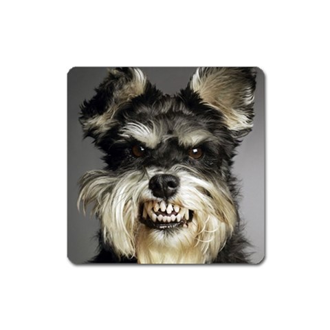 Animals Dogs Funny Dog 013643  Magnet (Square) from ArtsNow.com Front