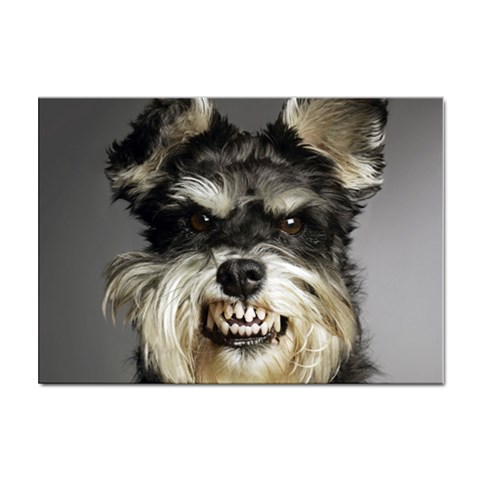 Animals Dogs Funny Dog 013643  Sticker A4 (100 pack) from ArtsNow.com Front