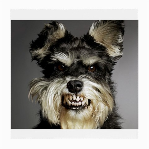 Animals Dogs Funny Dog 013643  Glasses Cloth (Medium) from ArtsNow.com Front