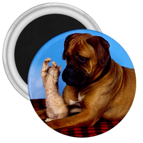 You don t scare me! 3  Magnet from ArtsNow.com Front