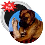 You don t scare me! 3  Magnet (10 pack)