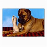 You don t scare me! Postcard 4 x 6  (Pkg of 10)