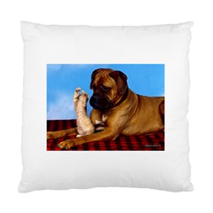 You don t scare me! Cushion Case (Two Sides) from ArtsNow.com Back