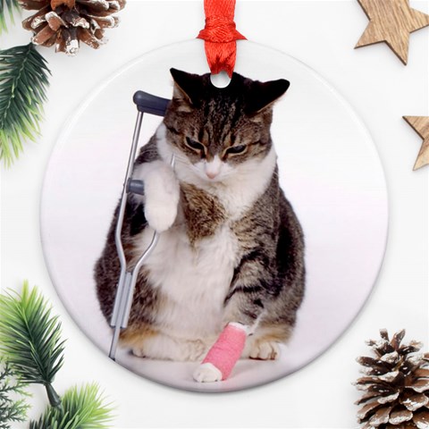 1200581839 1024x768 Cat With Crutches Ornament (Round) from ArtsNow.com Front