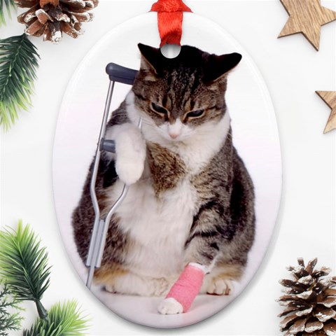 1200581839 1024x768 Cat With Crutches Ornament (Oval) from ArtsNow.com Front