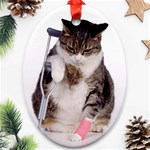 1200581839 1024x768 Cat With Crutches Ornament (Oval)