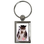 1200581839 1024x768 Cat With Crutches Key Chain (Rectangle)