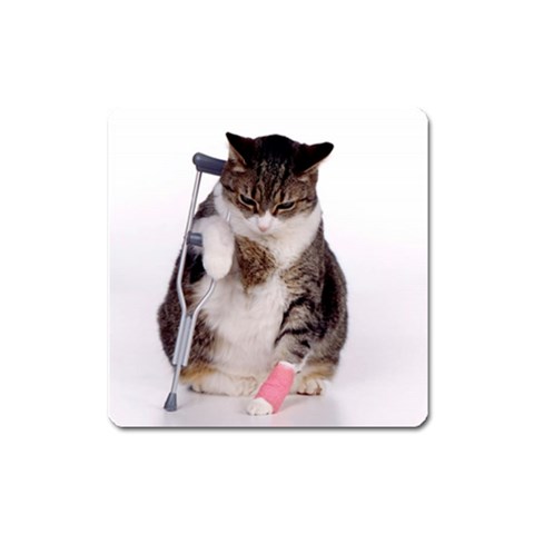 1200581839 1024x768 Cat With Crutches Magnet (Square) from ArtsNow.com Front