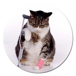 1200581839 1024x768 Cat With Crutches Magnet 5  (Round)