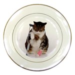 1200581839 1024x768 Cat With Crutches Porcelain Plate