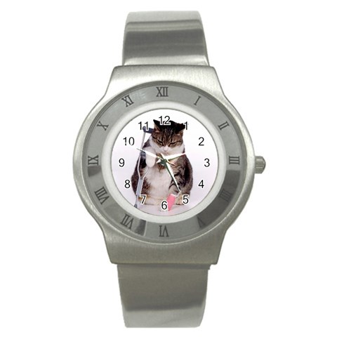 1200581839 1024x768 Cat With Crutches Stainless Steel Watch from ArtsNow.com Front