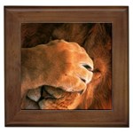 Animal Wallpapers 0028 Framed Tile