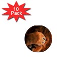 Animal Wallpapers 0028 1  Mini Magnet (10 pack) 