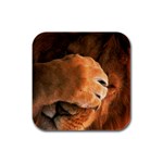 Animal Wallpapers 0028 Rubber Square Coaster (4 pack)
