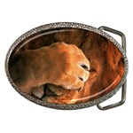Animal Wallpapers 0028 Belt Buckle