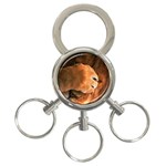 Animal Wallpapers 0028 3-Ring Key Chain