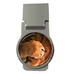 Animal Wallpapers 0028 Money Clip (Round)