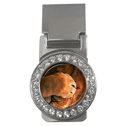 Animal Wallpapers 0028 Money Clip (CZ) from ArtsNow.com Front