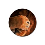 Animal Wallpapers 0028 Rubber Coaster (Round)